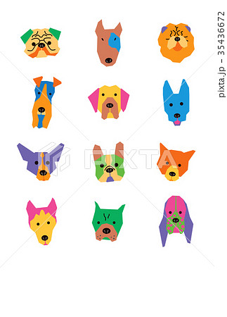 犬種カラー縦 35436672