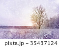 winter season forest landscape 35437124