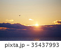 初日の出 35437993