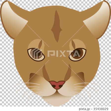 ピューマのイラスト素材
