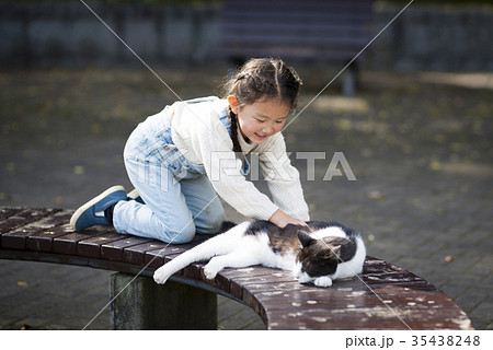猫と遊ぶ女の子の写真素材