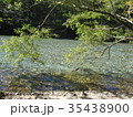 上高地１２ 35438900