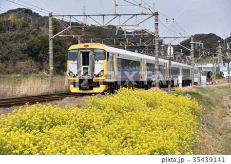 特急さざなみ 35439141