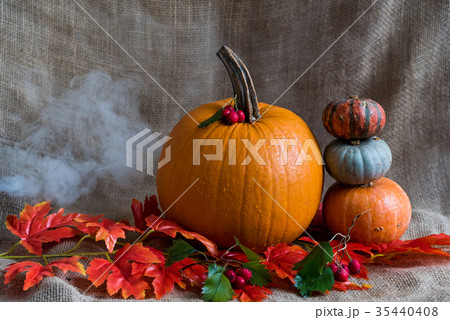 Close up various pumkins and red leaves 35440408