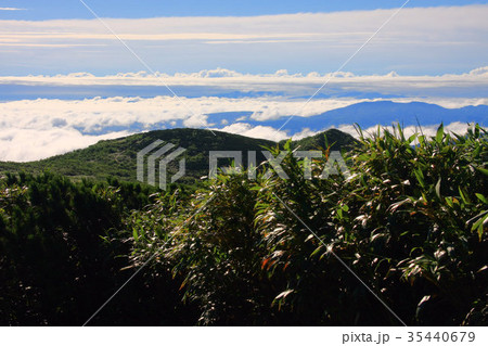 夏の積丹岳登山道から見る山並みと雲海 35440679