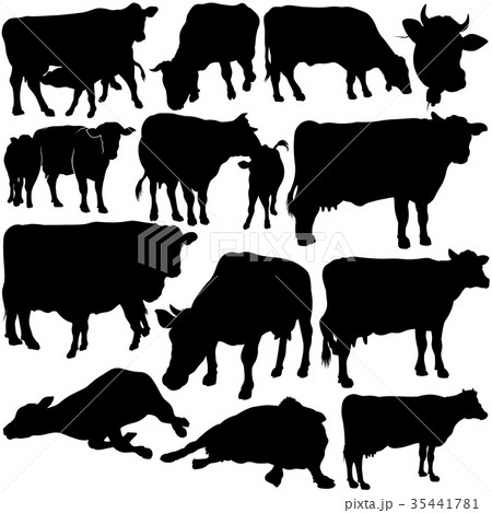 Cow Silhouettes Collection 35441781