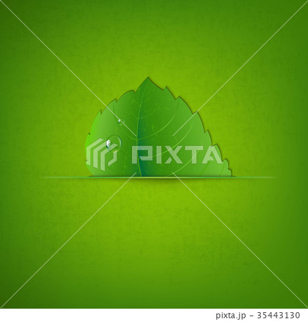 Green Texture With Green Leaf Green Texture With Green Leaf 35443130