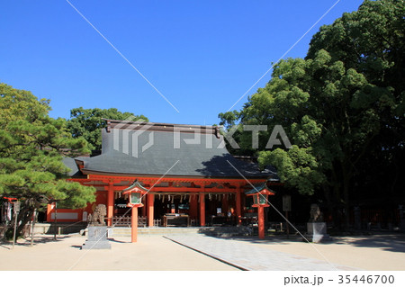 住吉神社本殿（福岡市） 35446700