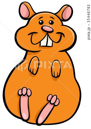 hamster animal character cartoon illustration 35446783