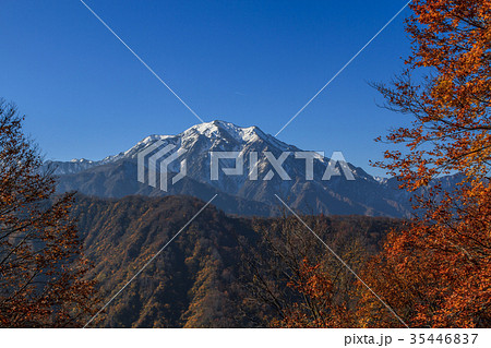 秋の樹海ラインからみた風景 35446837