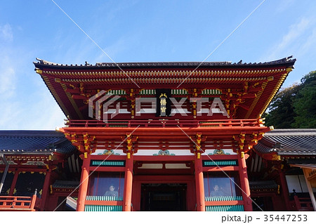 鎌倉 鶴岡八幡宮 Tsurugaokahachimangu-shrine 鎌倉 鶴岡八幡宮 Tsurugaokahachimangu-shrine 35447253