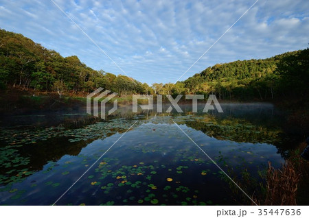 一沼池の朝3 一沼池の朝3 35447636