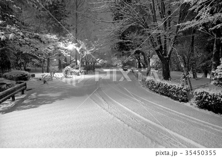 京都　雪景色　モノクロイメージ 35450355