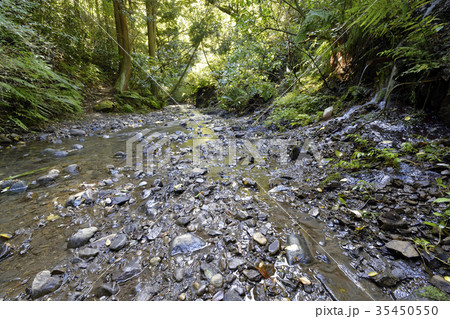 秋の三浦半島二子山、森戸川源流のトレイル 35450550