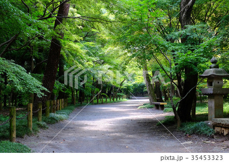 平林寺 平林寺 35453323