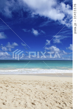 波 海 浜 35455576