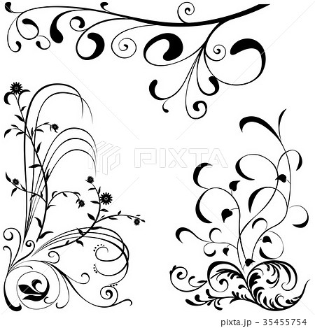 Floral Design Elements 35455754