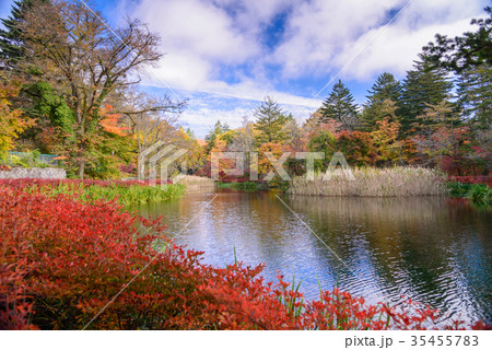 雲場池の紅葉 湖面に映り込む秋 雲場池の紅葉 湖面に映り込む秋 35455783