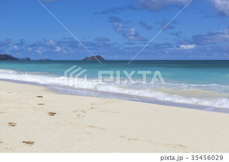 波 海 浜 35456029