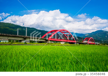 台湾 花蓮 池上 35456046