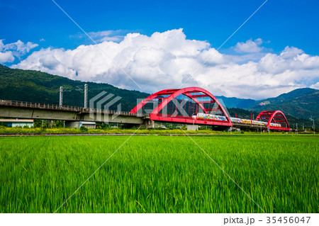 台湾 花蓮 池上 35456047