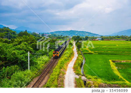 台湾 花蓮 池上 35456099