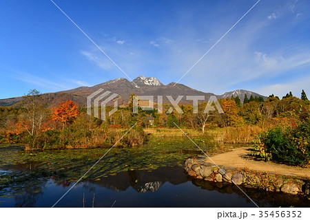 池の平イモリ池から見た妙高山の紅葉 35456352