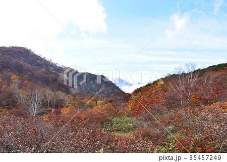 紅葉のアルプス平自然遊歩道 紅葉のアルプス平自然遊歩道 35457249