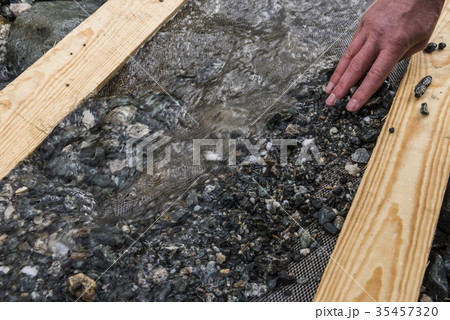 Emerald Search with Siev 35457320