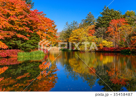雲場池の紅葉 湖面に映り込む秋 雲場池の紅葉 湖面に映り込む秋 35458487