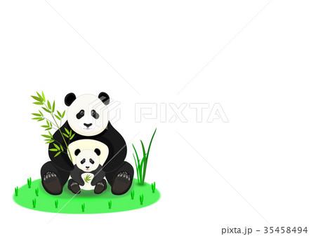パンダの親子 35458494