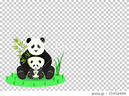 パンダの親子 35458494