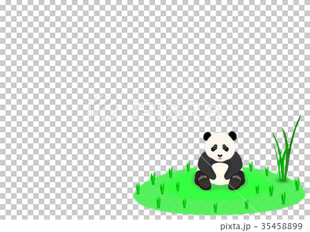 Child panda 35458899