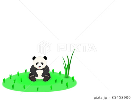 子パンダ 子パンダ 35458900