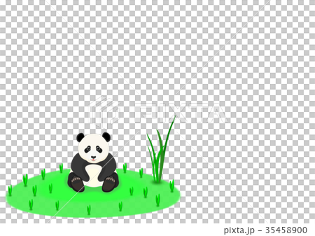 子パンダ 子パンダ 35458900