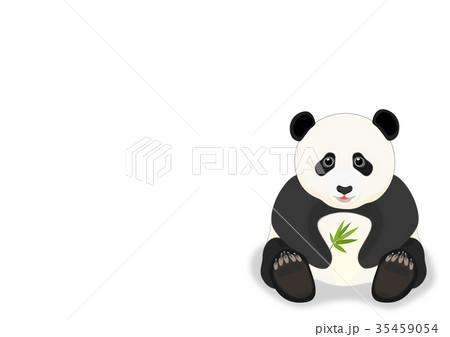 子パンダ 35459054