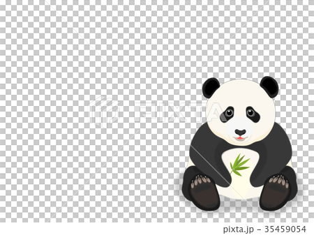 子パンダ 35459054
