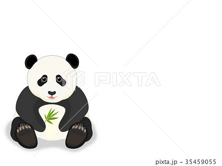 子パンダ 35459055