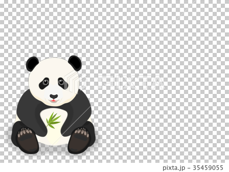 子パンダ 35459055