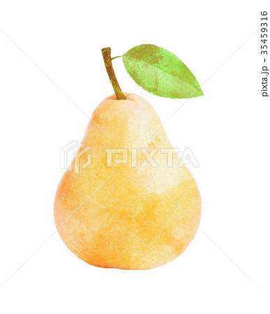 Watercolor Pear fruit with leaf on white Watercolor Pear fruit with leaf on white 35459316