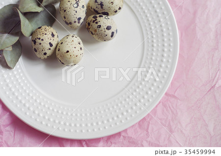 Table setting with white plate, twig, quail eggs Table setting with white plate, twig, quail eggs 35459994