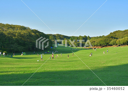 横浜・根岸森林公園 35460052