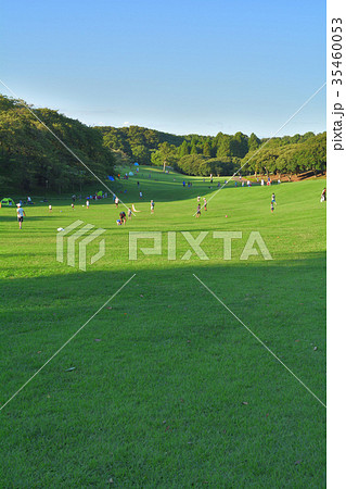 横浜・根岸森林公園 横浜・根岸森林公園 35460053