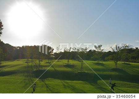 横浜・根岸森林公園 横浜・根岸森林公園 35460054
