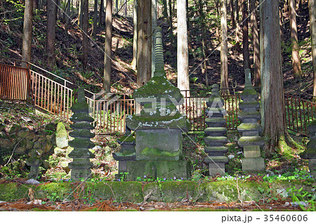 常楽寺 常楽寺 35460606