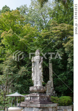 西国三十三所・二十四番札所・中山寺境内 35461635