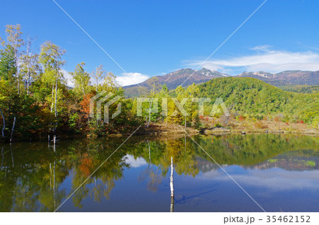 秋のまいめの池と乗鞍岳 35462152