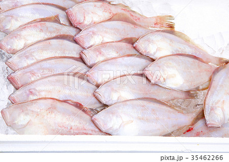 赤カレイ　食材 35462266