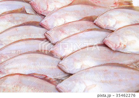 赤カレイ 食材 赤カレイ 食材 35462276