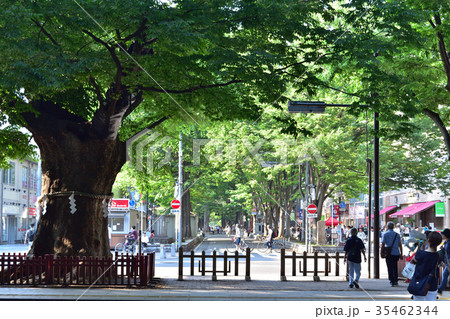 府中・大国魂神社前の風景 府中・大国魂神社前の風景 35462344